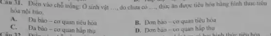 Câu 31. Điền vào chỗ trống: Ở sinh vật __ do chưa có __
thức ǎn được tiêu hóa bằng hình thức tiêu
hóa nội bào.
A. Đa bào - cơ quan tiêu hóa
B. Đơn bào -co
quan tiêu hóa
D. Đơn bào -CO
quan hấp thụ
C. Đa bào -CO quan hấp thụ