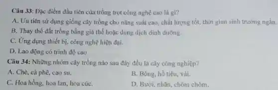 Câu 33: Đặc điểm đầu tiên của trồng trọt công nghệ cao là gi?
A. Uu tiên sử dụng giống cây trồng cho nǎng suất cao chất lượng tốt, thời gian sinh trưởng ngắn.
B. Thay thế đất trồng bằng giá thể hoặc dung dịch dinh dưỡng.
C. Ứng dụng thiết bị, công nghệ hiện đại.
D. Lao động có trình độ cao
Câu 34: Những nhóm cây trồng nào sau đây đều là cây công nghiệp?
A. Chè, cà phê cao su.
B. Bông, hồ tiêu,vải.
C. Hoa hồng, hoa lan, hoa cúC.
D. Bưởi, nhǎn, chôm chôm.