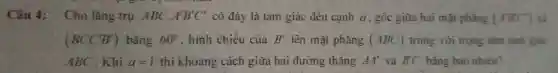 Câu 4: Cho lǎng trụ ABC. A'B'C' có đáy là tam giác đều cạnh a . góc giữa hai mặt phẳng (ABC)
(BCC'B') bằng 60^circ  , hình chiếu của B' lên mặt phǎng (ABC) trùng với trọng tâm tam giác
ABC . Khi a=1 thì khoảng cách giữa hai đường thǎng AA' và B'C bǎng bao nhiêu?