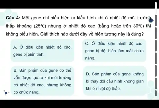 Câu 4: Một gene chỉ biểu hiện ra nhiệt độ môi trường
thấp khoảng (25^circ C) nhưng ở nhiệt độ cao (bằng hoặc trên 30^circ C ) thì
không biểu hiện. Giải thích nào dưới đây về hiện tượng này là đúng?
A. Ở điều kiện nhiệt độ cao,
gene bị biến tính.
C. Ở điều kiện nhiệt độ cao,
gene bị đột biến làm mất chức
nǎng.
B. Sản phẩm của gene có thể
vẫn được tạo ra khi môi trường
có nhiệt độ cao , nhưng không
có chức nǎng.
D. Sản phẩm của gene không
bị thay đổi cấu hình không gian
khi ở nhiệt độ thấp.