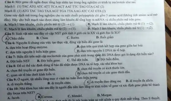 Câu 4: Một gene rất ngắn được tổng hợp nhân tạo trong ống nghiệm có trình tự nucleotide như sau:
Mạch I: (1) TAC ATG ATC ATT TCA ACT AAT TTC TAG GTA CAT f(2)
Mạch II: (1) ATG TAC TAG TAA AGT TGA TTA AAG ATC CAT GTA (2)
Gene này dịch mã trong ống nghiệm cho ra một chuỗi polypeptide chỉ gồm 5 amino acid (không tính amino acid mở
đầu). Hãy cho biết mạch nào được dùng làm khuôn để tổng hợp ra mRNA và chiều phiên mã trên gene.
A. Mạch I làm khuôn, chiều phiên mã từ (2)arrow (1)
(B) Mạch II làm khuôn, chiều phiên mã từ (1)arrow (2)
C. Mạch II làm khuôn, chiều phiên mã từ (2)arrow (1)
D. Mạch I làm khuôn, chiều phiên mã tử (1)arrow (2)
Câu 5: Sinh vật nào sau đây có cặp NST giới tính ở giới cái là XX và giới đực là XO?
A. Châu chấu
B. Chim
C. Bướm
D. Ruồi giấm
Câu 6: Nguyên lí chung của việc tạo thực vật, động vật biến đổi gene là:
B. dựa trên quá trình kết hợp của gene giữa hai loài.
A. dựa trên hoạt động enzyme.
D. dựa trên nguyên lí DNA tái tổ hợp.
C. dựa trên nguyên lí biểu hiện gene.
Câu 7: Biến đổi trên một cặp nucleotide của gene phát sinh trong nhân đôi DNA được gọi là dạng đột biến nào?
A. Đột biến NST.
B. Đột biến gene.
C. Thể đột biến.
D. Đột biến điểm.
Câu 8: Để có thể xác định dòng tế bào đã nhận được DNA tái tô hợp, các nhà khoa học
B. chọn thể truyền có kích thước lớn.
A. chọn thể truyền có gene đột biến.
D. chọn thể truyền có các gene đánh dấu.
C. quan sát tế bào dưới kính hiển vi.
Câu 9: Ở người , tật nhiều lông mọc ở vành tai tuân theo hiện tượng
C. di truyền theo dòng mẹ. D. di truyền đa allele.
B. di truyền chéo.
A. di truyền thẳng.
Câu 10: Nhà khoa học nào sau đây là người đầu tiên làm sáng tỏ khái niệm về gene và xác định gene phân bố thành
dãy locus trên NST?
A. Jacob.
B.) Correns.
C. Mendel.
D. Morgan.
Hai A am định mắt đỏ là trôi hoàn toàn so với allele a quy định mắt trắng Theo lí thuyết,