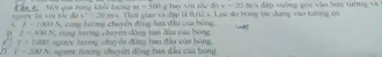Câu 4: Một qua bóng khối lượng m=500g bay với tốc độ v=20m/s đập vuông góc vào bức tương và
ngược lại với tốc độ v'=20m/s Thời gian va đập là 0,02s Lực do bóng tác dụng vào tương có
A. F=1000N cùng hướng chuyên động ban đầu của bóng.
B. F=500N cùng hướng chuyển động ban đầu của bóng.
F=1000. ngược hướng chuyên động ban đâu của bóng.
F=200N ngược hướng chuyên động ban đâu của bóng.