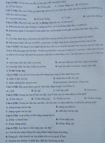 Câu 4 (TH). Tế bảo nào sau đây có lưới nội chất trơn phát triển?
C. Tế bào hồng cầu. D. Tế bào cơ.
A. Tế bào biều bi
B. Tế bào gan.
Câu 5 (TH)
Khi các tế bào gan phân lập được xử lí với chất độc bước đầu tiên trong quá trình bài tiết
chất độc diễn ra trong:
A. Lưới nội chất tron.
B. Bộ máy Golgi.
C. Ti thế.
D. Lưới nội chất hạt.
Câu 6 (TH). Phát biểu nào sau đây là không đúng khi nói về ribosome?
A. Ribosomelà bào quan không có màng bao bọc, có ở cà tế bào nhân thực và nhân sơ.
B. Ribosome gồm 2 tiểu phần là tiểu phần lớn và tiểu phần bé chi gắn với nhau khi thực hiện chức
nǎng.
C. Ở tế bào nhân thực, ribosome chi xuất hiện ở trong tế bào chất và có kích thước lớn (80S).
D. Ribosome được cấu tạo từ rRNA và protein, có chức nǎng là nơi tổng hợp protein của tế bào
Câu 7 (VDC). Sử dụng lysine đánh dấu để theo dõi sự di chuyển của một loại enzyme sau khi tiêm vào
tế bào. Kết quả quan sát cho thấy . 10 phút sau khi tiêm, enzyme có mặt ở (1)sau hơn 3 phút nữa enzyme
có mặt ở (2)và sau 180 phút thì enzyme xuất hiện và định khu ở (3). Các cấu trúc (1). (2) và (3)lần lượt
là:
A. ribosome, lưới nội chất, lysosome.
B. lưới nội chất hạt, bộ máy Golgi lysosome
C. Lưới nội chất.bộ máy Golgi, lysosome.
D. lưới nội chất.lysosome, màng sinh chất.
2. Ti thê và lục lạp
Câu 1 (NB) . Các cấu trúc được bao bởi màng kép trong tế bảo nhân thực gồm
A. nhân, ti thế lục lạp.
B. ribosome, ti thê lục lạp.
C. nhân, không bào peroxisome.
D. peroxisome, lysosome, không bào
Câu 2 (NB) Bào quan được xem là "nhà máy nǎng lượng" của tế bào là
A. ti thể.
B. lục lạp.
C. lưới nội chất.
D. lysosome
Câu 3 (TH). Trong các loại tế bào sau đây, loại tế bào nào có chứa nhiều ti thể nhất?
A. Tế bào biểu bi.
B. Tế bào hồng cầu.
C. Tế bào cơ tim.
D. Tế bào xương.
Câu 4 (TH) Trong các cấu trúc sau đây, cấu trúc nào có chứa diệp lục và enzyme quang hợp?
A. màng trong của lục lạp.
B. màng của tilacoit.
C. màng ngoài của lục lạp.
D. chất nền của lục lạp.
Câu 5 (TH) . Loại tế bào có khả nǎng quang hợp là:
A. tế bào vi khuẩn lam.
B. tế bào nấm rom.
C. tế bào trùng amip.
D. tế bào động vật
Câu 6 (TH). Lục lạp có chức nǎng nào sau đây?
A. Chuyên hóa nǎng lượng ánh sáng thành nǎng lượng hóa nǎng.
B. Đóng gói, vận chuyển các sản phẩm hữu cơ ra ngoài tế bào.
C. Chuyển hóa đường và phân hủy chất độc hại trong cơ thể.