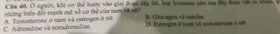 Câu 40. Ô người.khi cơ thề bước vào giai đoạn dậy thì, loại hormone nào sau đây được tiết ta nhiều, g
những biển đôi mạnh mẽ về cơ thể của nam và nữ?
B. Glucagon và insulin.
A. Testosterone ở nam và estrogen ở nữ.
D. Estrogen ở nam và testosterone ở nữ.
C. Adrenaline và noradrenaline.