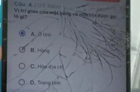 Câu 4.(05 Điểm)
Vị trí giao của một hồng và mostot được gọi
là gì?
A. Ô tính
B. Hong
C. Hộp địa chị
D. Trang tính