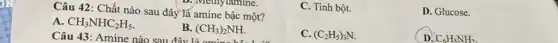 Câu 42: Chất nào sau đây lá amine bậc một?
D. Methylamine.
C. Tinh bột.
D. Glucose.
A CH_(3)NHC_(2)H_(5)
B. (CH_(3))_(2)NH.
C. (C_(2)H_(5))_(3)N.
D. C_(6)H_(5)NH_(2).