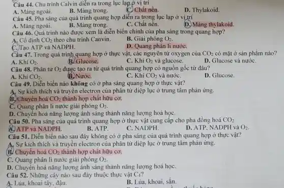 Câu 44. Chu trình Calvin diễn ra trong lục lạp ở vị trí
B. Màng trong.
(C) Chất nền.
D. Thylakoid.
Câu 45. Pha sáng của quá trình quang hợp diễn ra trong lục lạp ở vi trí
B. Màng trong.
A. Màng ngoài.
C. Chất nền.
(D.) Màng thylakoid.
Câu 46. Quá trình nào được xem là diễn biến chính của pha sáng trong quang hợp?
A. Cố định CO_(2) theo chu trình Canvin.
B. Giải phóng O_(2)
C.)Tạo ATP và NADPH.
D. Quang phân li nướC.
Câu 47. Trong quá trình quang hợp ở thực vật., các nguyên tử oxygen của CO_(2) có mặt ở sản phẩm nào?
A. Khí O_(2)
B. Glucose.
C. Khí O_(2) và glucose.
D. Glucose và nướC.
Câu 48. Phân tử O_(2) được tạo ra từ quá trình quang hợp có nguôn gốc từ đâu?
A. Khí CO_(2)
B.NướC.
C. Khí CO_(2) và nướC.
D. Glucose.
Câu 49. Diễn biến nào không có ở pha sáng quang hợp ở thực vật?
A. Sự kích thích và truyên electron của phân tử diệp lục ở trung tâm phản ứng.
B.)Chuyển hoá CO_(2) thành hợp chất hữu cơ.
C. Quang phân li nước giải phóng O_(2)
D. Chuyển hoá nǎng lượng ánh sáng thành nǎng lượng hoá họC.
Câu 50. Pha sáng của quá trình quang hợp ở thực vật cung cấp cho pha đồng hoá CO_(2)
A.) ATP và NADPH.
B. ATP.
C. NADPH.
D. ATP, NADPH và O_(2)
Câu 51. Diễn biên nào sau đây không có ở pha sáng của quá trình quang hợp ở thực vật?
A. Sự kích thích và truyên electron của phân tử diệp lục ở trung tâm phản ứng.
B. Chuyển hoá CO_(2) thành hợp chất hữu cơ.
C. Quang phân li nước giải phóng O_(2)
D. Chuyên hoá nǎng lượng ánh sáng thành nǎng lượng hoá họC.
Câu 52. Những cây nào sau đây thuộc thực vật C_(4)
A. Lúa, khoai tây , đâu.
B. Lúa, khoai sắn.