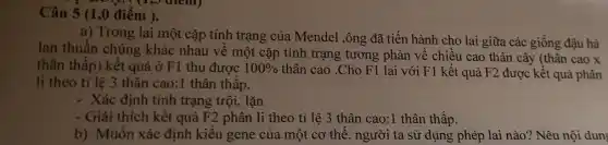 Câu 5 (1 ,0 điểm ).
(1,5 ulem)
a) Trong lai một cặp tính trạng của Mendel ,ông đã tiến hành cho lai giữa các giống đậu hà
lan thuần chủng khác nhau về một cặp tính trạng tương phản về chiều cao thân cây (thân cao x
thân thấp) kết quả ở F1 thu được 100%  thân cao .Cho F1 lai với F1 kết quả F2 được kết quả phân
li theo tỉ lệ 3 thân cao:1 thân thâp.
- Xác định tính trạng trội, lặn
- Giải thích kết quả F2 phân li theo tỉ lệ 3 thân cao:1 thân thấp.
b) Muốn xác định kiêu gene của một cơ thể, người ta sử dụng phép lai nào? Nêu nội dun