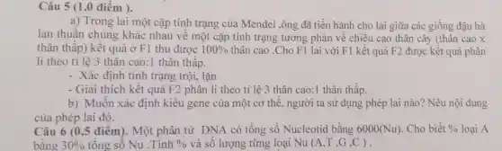 Câu 5 (1,0 điêm ).
a) Trong lai một cặp tính trạng của Mendel ,ông đã tiến hành cho lai giữa các giống đậu hà
lan thuần chủng khác nhau về một cặp tính trạng tương phản về chiều cao thân cây (thân cao x
thân thập) kết quả ở F1 thu được 100%  thân cao .Cho F1 lai với F1 kết quả F2 được kết quả phân
li theo tỉ lệ 3 thân cao:1 thân thâp.
- Xác định tính trạng trội, lặn
- Giải thích kết quả F2 phân li theo tỉ lệ 3 thân cao:1 thân thấp.
b) Muôn xác định kiểu gene của một cơ thể , người ta sử dụng phép lai nào? Nêu nội dung
của phép lai đó.
Câu 6 (0,5 điêm). Một phân tử DNA có tổng số Nucleotid bằng 6000(Nu). Cho biết 0/0 loại A
bằng 30%  tông sô Nu .Tính 0/0 và số lượng từng loại Nu(A,T,G,C)