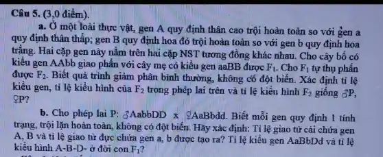 Câu 5. (3,0 điểm).
một loài thực vật., gen A quy định thân cao trội hoàn toàn so với gen a
quy định thân thấp ; gen B quy định hoa đỏ trội hoàn toàn so với gen b quy định hoa
trǎng. Hai cặp gen này nằm trên hai cặp NST tương đông khác nhau . Cho cây bố có
kiểu gen AAbb giao phân với cây mẹ có kiểu gen aaBB được F_(1) .Cho F_(1) tự thụ phấn
được F_(2) . Biết quá trình giảm phân bình thường, không có đột biến. Xác định tỉ lệ
kiểu gen, tỉ lệ kiểu hình của F_(2) trong phép lai trên và tỉ lệ kiểu hình F_(2) giông OP,
QP?
b. Cho phép lai P: GAabbDD times QAaBbdd. Biết mỗi gen quy định 1 tính
trạng, trội lặn hoàn toàn, không có đột biến. Hãy xác định:. Tỉ lệ giao tử cái chứa gen
A, B và tỉ lệ giao tử đực chứa gen a, b được tạo ra? Tỉ lệ kiểu gen AaBbDd và tỉ lệ
kiểu hình A-B -D- ở đời con F_(1)