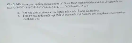 Câu 5: Một đoạn gene có tổng số nucleotide là 200 nu. Doan mach thứ nhất có trình tự số nucleotide nhu
sau: A-G -C-T-G-G -T-T-A-C -G-T-A-A C-C.....G-G -T-A-C-C -A-A-T.
a. Hãy xác định trình tự các nucleotide trên mạch bổ sung của mạch đó
b. Tính số nucleotide mỗi loại. Biết số nucleotide loại A chiếm
20%  tổng số nucleotide của đoạn
mạch nói trèn.