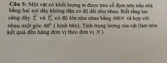 Câu 5: Một vật có khối lượng m được treo cố định trên trần nhà
bǎng hai sợi dây không dãn có độ dài như nhau. Biết rằng lực
cǎng dây overrightarrow (T)_(1) và overrightarrow (T_(2)) có độ lớn như nhau bằng 600N và hợp với
nhau một góc 60^circ  ( hình bên ). Tính trọng lượng của vật (làm tròn
kết quả đên hàng đơn vị theo đơn vị N ).