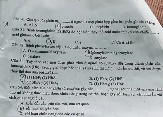 Câu 50. Cấu tạo của phân từ __
ở người là một phức hợp gồm hai phần globin và hem.
A. ADN
(B) protein
C. Porphirin
D. hemoglobin
Câu 51. Bệnh hemoglobin E
(HbE) do đột biến thay thế acid amin thứ 26 của chuỗi __
acid glutamic bởi lysin.
A. alpha 
beta 
C.Y
D. Cả A và B
Câu 52. Bệnh phenylceton niệu là do thiếu enzym. __
A. D-aminoacid oxydase
B. phenylalanin hydroxylase
C. catalase
D. amylase
Câu-53. Tuỳ theo các giai đoạn phát triển ở người có sự thay đổi trong thành phần của
hemoglobin (Hb). Trong giai đoạn bào thai và sơ sinh thì __ (1) __ chiếm ưu thế, về sau được
thay thế dần dần bởi (2) __
(A) (1) HbF; (2)HbA.
B. (1) HbA; (2) HbF.
C. (1) HbA ; (2) HbA_(2)
D. (1) HbA_(2) (2) HbF.
Câu 54. Đột biến của các phân tử enzyme gây-nên __ , sự sai sót của một enzyme làm
cho nó không thực hiện được chức nǎng trong cơ thể, hoặc gây rối loạn sự vận chuyển vật
chất qua màng tế bào.
A. biến đổi cấu trúc của mô, của cơ quan
(B) rối loạn chuyển hoá
C. rối loạn chức nǎng của các cơ quan