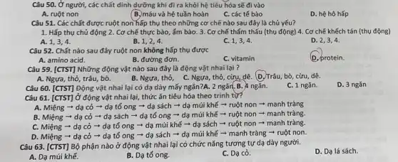 Câu 50. Ở người , các chất dinh dưỡng khi đi ra khỏi hệ tiêu hóa sẽ đi vào
A. ruột non
(B.)máu và hệ tuần hoàn
C. các tế bào
D. hệ hô hấp
Câu 51. Các chất được ruột non hấp thụ theo những cơ chế nào sau đây là chủ yếu?
1. Hấp thụ chủ động 2. Cơ chế thực bào, ẩm bào . 3. Cơ chế thẩm thấu (thụ động) 4 . Cơ chế khếch tán (thụ động)
A. 1
B. 1,2,4 .
C. 1,3,4 .
D. 2,3,4 .
Câu 52. Chất nào sau đây ruột non không hấp thụ được
D. protein.
A. amino acid.
B. đường đơn.
C. vitamin
Câu 59. [CTST] Những động vật nào sau đây là động vật nhai lại ?
A. Ngựa, thỏ, trâu bò.
B. Ngựa,thỏ, C.Ngựa, thỏ, cừu, dê . (D,Trâu, bò, cừu , dê.
Câu 60. [CTST] Động vật nhai lại có dạ dày mấy ngǎn?A.2 ngǎn. B. 4 ngǎn.
C. 1 ngǎn.
D. 3 ngǎn
Câu 61. [CTST] Ở động vật nhai lại, thức ǎn tiêu hóa theo trình từ?
A. Miệng - dạ cỏ ­­­­→ dạ tổ ong ­­­­→ dạ sách ­­­­→ dạ múi khế * ruột non ­­­­→ manh tràng
B. Miệng - dạ cỏ ­­­­→ dạ sách - dạ tổ ong ­­­­→ dạ múi khế ­­­­→ ruột non ­­­­→manh tràng.
C. Miệng ­­­­→ dạ cỏ ­­­­→ dạ tổ ong ­­­­→ dạ múi khế ­­­­→ dạ sách ­­­­→ruột non ­­­­→ manh tràng.
D. Miệng ­­­­→ dạ cỏ ­­­­→ dạ tổ ong ­­­­→ dạ sách ­­­­→ dạ múi khế - manh tràng ­­­­→ ruột non.
Câu 63. [CTST] Bộ phận nào ở động vật nhai lại có chức nǎng tương tự dạ dày người.
D. Dạ lá sách.
A. Dạ múi khế.
B. Dạ tổ ong.
C. Dạ cỏ.