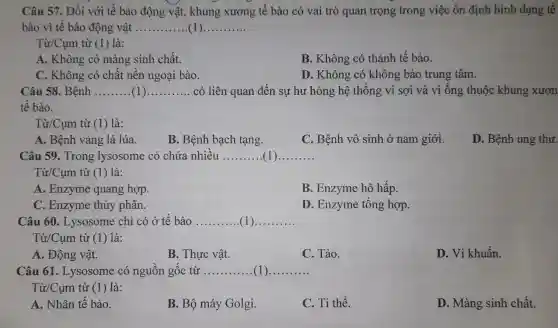 Câu 57 . Đối với tế bào động vật,khung xương tế bào có vai trò quan trọng trong việc ổn định hình dạng tế
bào vì tế bào động vật __ __
Từ/Cụm từ (1) là:
A.Không có màng sinh chất.
B . Không có thành tế bào.
C . Không có chất nên ngoại bào.
D . Không có không bào trung tâm.
Câu 58 . Bệnh __ ( __ có liên quan đến sự hư hỏng hệ thông vi sợi và vi ống thuộc khung xươn
tế bào.
Từ/Cụm từ (1)là:
A.. Bệnh vàng lá lúa.
B. Bệnh bạch tạng.
C. Bệnh vô sinh ở nam giới.
D . Bệnh ung thư.
Câu 59 . Trong lysosome có chứa nhiều __ __
Từ/Cụm từ (1)là:
A . Enzyme quang hợp.
B . Enzyme hô hấp.
C . Enzyme thủy phân.
. Enzyme tổng hợp.
Câu 60 .Lysosome chỉ có ở tế bào __ (1) __
Từ/Cum từ (1)là:
A . Động vật.
B. Thực vật.
C. Tảo.
D. Vi khuẩn.
Câu 61 . Lysosome có nguồn gốc từ __ (1) __
Từ/Cụm từ (1)là:
A . Nhân tế bào.
B. Bộ máy Golgi.
C. Ti thể.
D . Màng sinh chất.