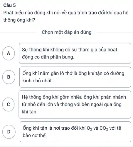 Câu 5
Phát biểu nào đúng khi nói về quá trình trao đổi khí qua hệ
thống ống khí?
Chọn một đáp án đúng
A )
Sự thông khí không có sự tham gia của hoạt
động co dãn phần bụng.
B
Ống khí nằm gần lỗ thở là ống khí tận có đường
kính nhỏ nhất.
B
C v
Hệ thống ống khí gồm nhiều ống khí phân nhánh
từ nhỏ đến lớn và thông với bên ngoài qua ống
khí tận.
Ống khí tận là nơi trao đổi khí O_(2) và CO_(2) với tế
D )