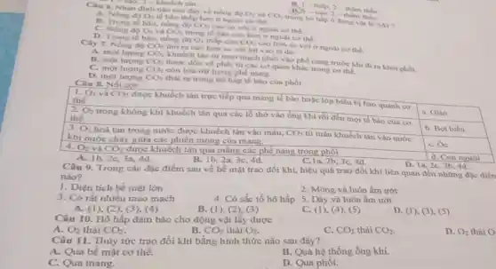 Câu 6. Nhận đinh nào sau đây về nồng đó
- Cao, 2 - khuếch tin
-thâp, 2 -tham thau
A. Nong do O_(2) tế bào thấp hơn ở ngoài cơ the.
và hàn 2-thầm thấu
O_(2) và CO_(2)
trong hô hấp ở động vật ta SAI 7
B. Trong té bilo, nong do CO_(2)
cao so với ở ngoài co the.
C. Nồng độ O_(2) và CO_(2)
trong tế bào cao hơn ở ngoài co the.
D. Trong te bao, nong do O_(2) thập còn CO_(2)
cao hơn so với ở ngoài cơ thể.
Cây 7. Nồng đô CO_(2)
thờ ra cao hơn so với hit vào là do
A. một lượng CO_(2)
khuếch tán từ mao mạch phối vào phế nang trước khi đi ra khoi phoi.
B. một lượng CO_(2)
được dòn về phối từ các cơ quan khác trong cơ thể.
C. một lượng CO_(2) còn lưu trữ trong phé nang.
D. một lượng CO_(2)
thải ra trong hô hấp tế bào của phối. Câu 8. Nối cọi:
A.1b, 2c, 3a, 4d.
B. Ib, 2a,3c 4d.
C.la, 2b, 3c, 4d
d. Con người
D. la, 2c, 3b 4d.
Câu 9. Trong các đặc điểm sau về bề mặt trao đổi khí, hiệu quả trao đồi khí liên quan đến những đặc điền
nào?
1. Diện tích bề mặt lớn
2. Mỏng và luôn ẩm ướt
3. Có rất nhiều mao mạch
4. Có sắc tố hô hấp 5. Dày và luôn ẩm ướt
A. (1), (2)(3), (4)
B. (1 ), (2), (3)
C. (1), (4), (5)
D. (1), (3), (5)
Câu 10. Hô hấp đảm bảo cho động vật lấy được
A. O_(2) thải CO_(2)
B. CO_(2) thải O_(2)
C. CO_(2) thải CO_(2)
D. O_(2) thải O
Câu 11. Thủy tức trao đổi khí bằng hình thức nào sau đây?
A. Qua bề mặt cơ thể.
B. Qua hệ thống ống khí.
C. Qua mang.
D. Qua phổi.