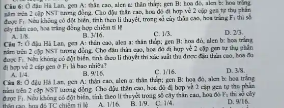 Câu 6: Ở đậu Hà Lan, gen A:thân cao, alen a:thân thấp; gen B : hoa đỏ, alen b:hoa trǎng
nằm trên 2 cặp NST tương đông. Cho đậu thân cao, hoa đỏ dị hợp về 2 cặp gen tự thụ phân
được F_(1) . Nếu không có đột biên, tính theo lí thuyết.trong số cây thân cao, hoa trǎng F_(1) thì số
cây thân cao, hoa trǎng đông hợp chiếm tỉ lệ
D. 2/3
A. 1/8
B. 3/16
C. 1/3
Câu 7: Ở đậu Hà Lan, gen A:thân cao, alen a:thân thấp; gen B : hoa đỏ, alen b:hoa trǎng
nằm trên 2 cặp NST tương đông. Cho đậu thân cao, hoa đỏ dị hợp vê 2 cặp gen tự thụ phân
được F_(1)
. Nếu không có đột biến, tính theo lí thuyết thì xác suất thu được đậu thân cao, hoa đỏ
đị hợp về 2 cặp gen ở F_(1) là bao nhiêu?
D. 3/8
A. 1/4
B. 9/16
C. 1/16
Câu 8: Ở đậu Hà Lan, gen A:thân cao, alen a:thân thâp; gen B: hoa đỏ, alen b: hoa trǎng
nằm trên 2 cặp NST tương đồng. Cho đậu thân cao, hoa đỏ dị hợp vê 2 cặp gen tự thụ phân
được F_(1) . Nếu không có đột biến, tính theo lí thuyết trong số cây thân cao, hoa đỏ
F_(1) thì sô cây
D. 9/16
thân cao, hoa đỏ TC chiếm tỉ lệ
A. 1/16
B. 1/9
. C. 1/4