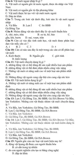 Câu 6: Vật nuôi ngoại nhập là gì ?
A. Vật nuôi có nguồn gốc từ nước ngoài, được du nhập vào Việt
Nam
B. Vật nuôi có nguồn gốc từ địa phương khác
C. Vật nuôi được lai tạo với vật nuôi nước ngoài
D. Đáp án khác
Câu 7: Trong các loài vật đưới đây,loài nào là vật nuôi ngoại
nhập
A. Vịt Bầu
B. Lợn 1
C. bò BBB
D.
Gà Đông Tảo
Câu 8: Nhóm động vật nào dưới đây là vật nuôi thuần hóa
A. chó, mèo, trâu	B. sư tử, hỗ.. báo
C.
gầu, khi, hươu D. nai, vượn, trǎn
Câu 9: Cǎn cứ vào đặc tính sinh học, vật nuôi được phân loại
dựa vào mây cǎn cứ ?
A. 1
D. 4
B. 2	C. 3
Câu 10: Cǎn cứ nào sau đây là một trong các cǎn cứ để phân loại
vật nuôi
A. Kích thước
B. Nguồn gốc
C. giới tính
D. khối lượng
Câu 11: Vật nuôi chuyên dụng là gì ?
A. những động vật có thể dùng để sản xuất nhiều loại sản phẩm
B. những động vật có thể đảm nhận nhiều công việc nặng
C. Những vật nuôi có nǎng suất cao về một loại sản phẩm nhất
định
D. Những động vật ngoài cung cấp thịt còn cung cấp sức kéo
Câu 12: Vật nuôi kiêm dụng là gì?
A. Những vật nuôi có nǎng suất cao về một loại sản phẩm nhất
định
B. những động vật có thể dùng để sản xuất nhiều loại sản phẩm
C. những động vật có thể đảm nhận nhiều công việc nặng
D. Những động vật ngoài cung cấp thịt còn cung cấp sức kéo
Câu 13: Lợn I, Gà Đông Tảo, Bò BBB , Gà ISA Brown Vịt Bầu,
lợn Yorkshire. Những con vật thuộc nhóm vật nuôi chuyên dụng
là ?
A. Vịt Bầu, lợn Yorkshire; Gà Đông Tảo . Bò BBB.
B. Lợn I, Gà Đông Tảo, Bò BBB, Gà ISA Brown
C. Vịt Bầu, lợn Yorkshire
D. Gà Đông Tảo . Bò BBB, Gà ISA Brown
Câu 14: Lợn I, Gà Đông Tảo, Bò BBB , Gà ISA Brown Vịt Bầu.
lợn Yorkshire. Những con vật thuộc nhóm vật nuôi kiêm dụng là
?
A. Vịt Bầu, lợn Yorkshire; Gà Đông Tảo . Bò BBB.
B. Lợn I, Gà Đông Tảo, Bò BBB, Gà ISA Brown
C. Vịt Bầu, lợn Yorkshire
D. Gà Đông Tảo . Bò BBB, Gà ISA Brown
Câu 15: Nguồn gốc của các loại vật nuôi hiện nay là?
A. động vật hoang dã được con người thuần hóa
B. có sẵn trong tự nhiên
C. do con người nghiên cứu tạo ra bằng công nghệ
D. đáp án khác