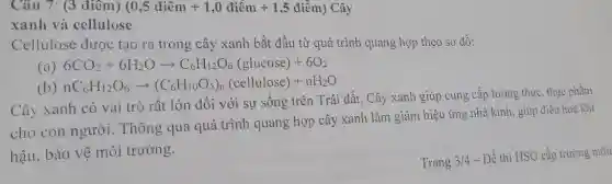 Câu 7: (3 điêm) (0,5dihat (e)m+1,0dihat (i)m+1,5dihat (i)m) Cây
xanh và cellulose
Cellulose được tạo ra trong cây xanh bắt đầu từ quá trình quang hợp theo sơ đồ:
(a) 6CO_(2)+6H_(2)Oarrow C_(6)H_(12)O_(6)(glucose)+6O_(2)
(b) nC_(6)H_(12)O_(6)arrow (C_(6)H_(10)O_(5))_(n)(cellulose)+nH_(2)O
Cây xanh có vai trò rất lớn đối với sự sống trên Trái đất. Cây xanh giúp cung cấp lương thực. thực phẩm
cho con người Thông qua quá trình quang hợp cây xanh làm giảm hiệu ứng nhà kính, giúp điều hoà khí
hậu, bảo vệ môi trường.
Trang 3/4 - Đề thi HSG cấp trường môn