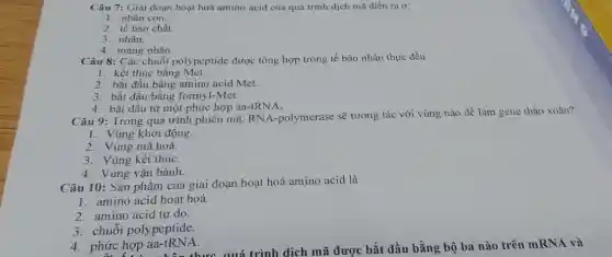 Câu 7: Giai đoạn hoạt hoá amino acid của quá trình dịch mã diễn ra ở:
1. nhân con.
2. tế bào chất.
3. nhân.
4. màng nhân.
Câu 8: Các chuỗi polypeptide được tổng hợp trong tế bào nhân thực đều
1. kết thúc bằng Met.
2. bắt đầu bằng amino acid Met.
3. bắt đầu bằng formyl-Met.
4. bắt đầu từ một phức hợp aa-tRN A.
Câu 9: Trong quá trình phiên mã, RNA.-polymerase sẽ tương tác với vùng nào để làm gene tháo xoắn?
1. Vùng khởi động.
2. Vùng mã hoá.
3. Vùng kết thúC.
4. Vùng vận hành.
Câu 10: Sản phẩm của giai đoạn hoạt hoá amino acid là
1. amino acid hoạt hoá.
2. amino acid tự do.
3. chuỗi polypeptide.
phức hợp aa-IRNA.quá trình dịch mã được bắt dần bằng bộ ba nào trên mRNA và
4. phức hợp aa -tRNA.