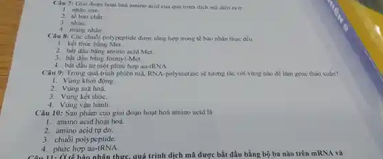 Câu 7: Giai đoạn hoạt hoá amino acid của quá trình dịch mã diền ra ở:
1. nhân con.
2. tế bào chất.
3. nhân.
4. màng nhân.
Câu 8: Các chuỗi polypeptide được tổng hợp trong tế bào nhân thực đều
1. kết thúc bằng Met.
2. bắt đầu bằng amino acid Met.
3. bắt đầu bằng formyl-Met.
4. bắt đầu từ một phức hợp aa-tRNA.
Câu 9: Trong quá trình phiên mã, RNA -polymerase sẽ tương tác với vùng nào để làm gene tháo xoắn?
1. Vùng khởi động.
2. Vùng mã hoá.
3. V ùng kết thúC.
4. Vùng vận hành.
Câu 10: Sản phẩm của giai đoạn hoạt hoá amino acid là
1. amino acid hoạt hoá.
2. amino acid tự do.
3. chuỗi polypeptide.
4. phức hợp aa -tRNA.
Câu 11: Ở tế bào nhân thực, quá trình dịch mã được bắt đầu bằng bộ ba nào trên mRN A và