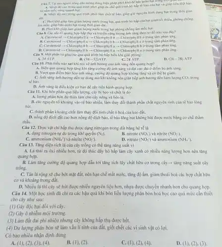 Câu 7. Tai sao nguroi nông dân tường dùng biện pháp phơi khô để bào quản hạt trong thời gian
A. Nhiệt do cao trong quá trình phơi giúp ức chế quá trình hô hấp tế bào của hạt và giúp tiêu diệt bào
từ nắm mốc xung quanh hạt.
dài.
B. Nhier độ cao trong quả trình phơi làm chết tế bào, giúp giữ nguyên hình dạng hạt trong thời gian
C. Phoi khô giúp làm giảm lượng nước trong hạt, quá trình hô hấp của hạt giảm tối thiểu, phòng chống
âm móC. giúp bảo quản hạt trong thời gian dài.
D. Phơi khô giúp làm giảm lượng nước trong hạt phòng chống âm mốc hạt.
Câu 8. Các sắc tố quang hợp hấp thụ và truyền nǎng lượng ảnh sáng theo sơ đồ nào sau đây?
A. Carotenoid - Chlorophyl là -Chlorophyll b =-Chlorophyll b ở trung tâm phản ứng.
B. Carotenoid - Chlorophylla Chlorophyll b - Chlorophyll :ở trung tâm phản img.
C. Carotenoid - Chlorophyll b -Chlorophyll a -Chlorophyll ở trung tâm phàn ứng.
D. Carotenoid - Chlorophyll b -Chlorophyll a-Chlorophyl a ở trung tâm phàn ứng.
Câu 9. Một phân tử glucose qua quá trình hô hấp hiếu khí giải phóng:
A. 34 ATP.
(30-32)ATP.
C. 28 ATP.
D. (26-28)ATP
Câu 10. Phát biểu nào sai khi nói về ảnh hướng của ánh sáng đến quang hợp?
A. Hiệu quả quang hợp tǎng khi tǎng cường độ ánh sáng và đạt cực đại ở điểm bù ánh sáng.
B. Vượt qua điểm bão hòa ánh sáng, cường độ quang hợp không tǎng và có thể bị giàm.
C. Ánh sáng ảnh hưởng đến sự đóng mở khi không nên gián tiếp ảnh hưởng đến hàm lượng CO2 trong CO_(2)
tế bào.
D. Ánh sáng là điều kiện cơ bản để cây tiến hành quang hợp.
Câu 11. Khi bón phân quá liều lượng.cây bị héo và chết là do
A. lượng phân bón dư thừa làm cho cây nóng và héo lá.
B. các nguyên tố khoảng vào tế bào nhiều làm thay đổi thành phần chất nguyên sinh của tế bào lông
hút.
C. thành phần khoáng chất làm thay đổi tính chất lí hoá của keo đất.
D. nồng độ dịch đất cao hơn nồng độ dịch bào, tế bào lông hút không hút được nước bằng cơ chế thẩm
thấu.
Câu 12. Thực vật chi hấp thu được dạng nitrogen trong đất bằng hệ rễ là
A. dạng nitrogen tự do trong khí quyền (N_(2))
B. nitrate (NO_(3)^-) và nitrite (NO_(2)^-)
C. ammonium (NH_(4)^+) và nitrite (NO_(2)^-)
D. nitrate (NO_(3)^-) và ammonium (NH_(4)^+)
Câu 13. Tǎng diện tích lá của cây trồng có thể tǎng nǎng suất vì
A. Lá thải ra ôxi nhiều hơn, từ đó thúc đầy hô hấp làm cây xanh có nhiều nǎng lượng hơn nên tǎng
quang hợp.
B. Làm tǎng cường độ quang hợp dẫn tới tǎng tích lũy chất hữu cơ trong cây ­­­­→ tǎng nǎng suất cây
trồng.
C. Tán lá rộng sẽ che bớt mặt đất,nên hạn chế mất nước, tǎng độ ẩm , giảm thoái hoá các hợp chất hữu
cơ và khoáng trong đất.
D. Nhiếu lá thì cây sẽ hút được nhiều nguyên liệu hơn, nhựa được chuyển nhanh hơn cho quang hợp.
Câu 14. Một học sinh đã chi ra các hậu quả khi bón liều lượng phân bón hoá học cao quá mức cần thiết
cho cây như sau:
(I) Gây độc hại đối với cây.
(2) Gây ô nhiễm môi trường.
(3) Làm đất đai phi nhiêu nhưng cây không hấp thụ được hết.
(4) Dư lượng phân bón sẽ làm xấu lí tính của đất, giết chết các vi sinh vật có lợi.
Có bao nhiêu nhận định đúng
A.(1), (2), (3), (4)
B. (1), (2)
C.(1), (2), (4)
D. (1), (2)(3)