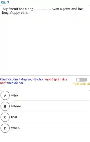 Câu 7
My friend has a dog __ won a prize and has
long, floppy ears.
Câu hỏi gồm 4 đáp án, HS chọn một đáp án duy
nhất theo đề bài.
A who
B whose
C that
v
D ) when