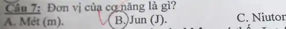 Câu 7:Đơn vị của cơ nǎng là gì?
A. Mét (m).
B.)Jun (J)
C. Niutor