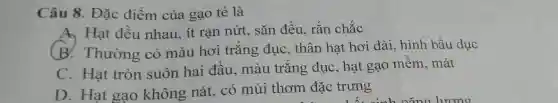 Câu 8. Đặc điểm của gạo tẻ là
A, Hạt đều nhau ít rạn nứt, sǎn đều, rắn chắc
B. Thường có màu hơi trắng đục, thân hạt hơi dài, hình bầu dục
C. Hạt tròn suôn hai đầu . màu trǎng đục , hạt gạo mềm , mát
D. Hạt gạo không nát, có mùi thơm đặc trưng