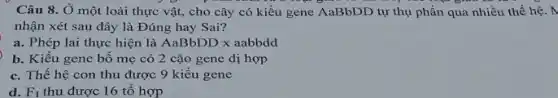 Câu 8. Ở một loài thực vật, cho cây có kiểu gene AaBbDD tự thụ phấn qua nhiều thế hệ. N
nhận xét sau đây là Đúng hay Sai?
a. Phép lai thực hiện là AaBbDDxaabbdd
b. Kiểu gene bố mẹ có 2 cặo gene dị hợp
c. Thế hệ con thu được 9 kiểu gene
d. F_(1) thu được 16 tổ hợp