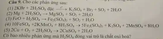 Câu 9. Cho -các phản ứng sau:
(1) 2KBr+2H_(2)SO_(4)dhat (a)Carrow K_(2)SO_(4)+Br_(2)+SO_(2)+2H_(2)O
(2) Mg+2H_(2)SO_(4)arrow MgSO_(4)+SO_(2)+2H_(2)O
(3) FeO+H_(2)SO_(4)arrow Fe_(2)(SO_(4))_(3)+SO_(2)+H_(2)O
(4) 10FeSSO_(4)-3KNON_(4)+8H_(2)SO_(4)arrow SFe_(2)(SO_(4))_(6)+K_(2)SO_(4)+2NHSO_(4)+8He_(2)O
(5) 2Cu+O_(2)+2H_(2)SO_(4)arrow 2CuSO_(4)+2H_(2)O
Có bao nhiêu phản ứng mà H_(2)SO_(4) đóng vai trò là chất oxi hoá?