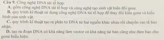 Câu 9. Công nghệ DNA tái tổ hợp:
A. gôm công nghệ DNA tái tổ hợp và công nghệ tạo sinh vật biến đổi gene.
B. quy trình kĩ thuật sử dụng công nghệ DNA tái tổ hợp để thay đổi kiều gene và kiểu
hình của sinh vật.
C. quy trình kĩ thuật tạo ra phân tử DNA từ hai nguồn khác nhau rồi chuyển vào tế bào
nhân.
D. tạo ra đoạn DNA có khả nǎng làm vector có khả nǎng tái bản cũng như đảm bảo cho
gene biểu hiện.