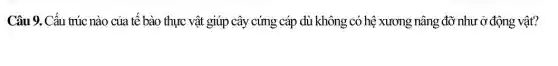 Câu 9. Cấu trúc nào của tế bào thực vật giúp cây cứng cáp dù không có hệ xương nâng đỡ như ở động vật?