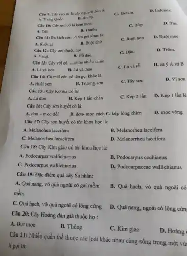 Câu 9: Cây cao su là cây nguyên bản ở:
C. Braxin.
D. Indonexi
A. Trung QuốC.
B. Án độ.
Câu 10: Cây ươi có lá kèm hình:
C. Búp
D. Tim
A. Dải
B. Thuôn
Câu 11: Ba kích còn có tên gọi khác là:
A. Ruột gà
B. Ruột chó
C. Ruột heo
D. Ruột mèo
Câu 12: Cây ươi thuộc họ:
A. Vang.
B. Hồ đào.
C. Đậu.
D. Trôm.
Câu 13: Cây vối có __ chứa nhiều tanin
C. Lá và rễ
D. cả ý A và B
A. Lá và hoa
B. Lá và thân
Câu 14: Cú mài còn có tên gọi khác là:
A. Hoài sơn
B. Trường sơn
C. Tây sơn
D. Vị sơn
Câu 15 : Cây Kơ nia có lá:
A. Lá đơn
B. Kép 1 lần chẵn
C. Kép 2 lần
D. Kép 1 lần lẻ
Câu 16: Cây sơn huyết có lá
A. đơn - mọc đối
B. đơn- mọc cách C. kép lông chim
D. mọc vòng
Câu 17: Cây sơn huyết có tên khoa học là:
A. Melanohea laccifera
B. Melanorhea laccifera
C. Melanorrhea lacacifera
D. Melanorrhea laccifera
Câu 18: Cây Kim giao có tên khoa học là:
A. Podocarpar wallichianus
B. Podocarpus cochianus
C. Podocarpus wallichianus
D. Podocarpaceae wallichianus
Câu 19: Đặc điểm quả cây Sa nhân:
A. Quả nang, vỏ quả ngoài có gai mềm
mềm
B. Quả hạch, vỏ quả ngoài có
C. Quả hạch, vỏ quả ngoài có lông cứng
D. Quả nang, ngoài có lông cứn
Câu 20: Cây Hoàng đàn giả thuộc họ :
A. Bụt mọc
B. Thông
C. Kim giao
D. Hoàng
Câu 21: Nhiều quần thể thuộc các loài khác nhau cùng sống trong một vùi
lí gọi là: