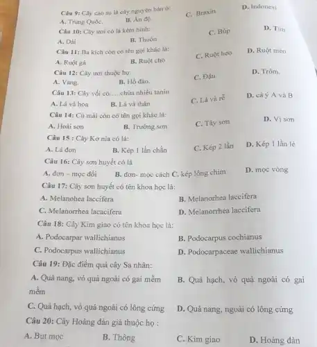 Câu 9: Cây cao su là cây nguyên bản ở:
A. Trung QuốC.
B. Ân độ.
C. Braxin.
D. Indonexi
Câu 10: Cây ươi có lá kèm hình:
C. Búp
D. Tim
A. Dải
B. Thuôn
Câu 11: Ba kích còn có tên gọi khác là:
A. Ruột gà
B. Ruột chó
C. Ruột heo
D. Ruột mèo
Câu 12: Cây ươi thuộc họ:
A. Vang.
B. Hồ đào.
C. Đậu.
D. Trôm.
Câu 13: Cây vối có __ chứa nhiều tanin
A. Lá và hoa
B. Lá và thân
C. Lá và rễ
D. cả ý A và B
Câu 14: Củ mài còn có tên gọi khác là:
A. Hoài sơn
B. Trường sơn
C. Tây sơn
D. Vi sơn
Câu 15 : Cây Kơ nia có lá:
A. Lá đơn
B. Kép 1 lần chẵn
C. Kép 2 lần
D. Kép 1 lần lẻ
Câu 16: Cây sơn huyết có lá
A. đơn - mọc đối
B. đơn- mọc cách C. kép lông chim
D. mọc vòng
Câu 17: Cây sơn huyết có tên khoa học là:
A. Melanohea laccifera
B. Melanorhea laccifera
C. Melanorrhea lacacifera
D. Melanorrhea laccifera
Câu 18: Cây Kim giao có tên khoa học là:
A. Podocarpar wallichianus
B. Podocarpus cochianus
C. Podocarpus wallichianus
D. Podocarpaceae wallichianus
Câu 19: Đặc điểm quả cây Sa nhân:
A. Quả nang, vỏ quả ngoài có gai mềm
mềm
B. Quả hạch, vỏ quả ngoài có gai
C. Quả hạch, vỏ quả ngoài có lông cứng
Câu 20: Cây Hoàng đàn giả thuộc họ :
D. Quả nang, ngoài có lông cứng
A. Bụt mọc
B. Thông
C. Kim giao
D. Hoàng đàn