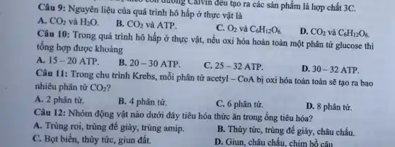 Câu 9: Nguyên liệu của quá trình hô hấp ở thực vật là
A. CO_(2) và H_(2)O
B. CO_(2) và ATP.
C. O_(2) và C_(6)H_(12)O_(6).
D. CO_(2) và C_(6)H_(12)O_(6)
Câu 10: Trong quá trình hô hấp ở thực vật, nếu oxi hóa hoàn toàn một phân tử glucose thì
tổng hợp được khoảng
A. 15-20 ATP.
B. 20-30 ATP.
C. 25-32 ATP.
D. 30-32 ATP.
Câu 11: Trong chu trình Krebs, mỗi phân tử acetyl - CoA bị oxi hóa toàn toàn sẽ tạo ra bao
nhiêu phân tử CO_(2)
A. 2 phân tử.
B. 4 phân tử.
C. 6 phân tử.
D. 8 phân tử.
Câu 12: Nhóm động vật nào dưới đây tiêu hóa thức ǎn trong ống tiêu hóa?
A. Trùng roi, trùng để giày, trùng amip.
B. Thủy tức, trùng để giày, châu chấu.
C. Bọt biển, thủy tức, giun đất.
D. Giun, châu chấu , chim bồ câu