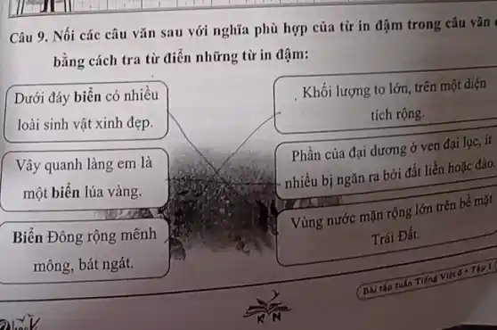 Câu 9. Nối các câu vǎn sau với nghĩa phù hợp của từ in đậm trong câu vǎn
bằng cách tra từ điển những từ in đậm:
Dưới đáy biến có nhiều
loài sinh vật xinh đẹp.
Vây quanh làng em là
một biển lúa vàng.
Biển Đông rộng mênh
mông, bát ngát.
Khối lượng to lớn trên một diện
tích rộng.
Phần của đại dương ở ven đại lục ít
nhiều bị ngǎn ra bởi đất liền hoặc đảo.
Vùng nước mặn rộng lớn trên bể mặt
Trái Đất.
Bài tập tuần Tiếng VIết 6 : Tập 1