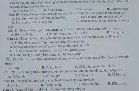 Câu 9. Sau khi được hình thành, phân tử mRNA trong nhân được vận chuyên từ nhân ra tè
bào chât thông qua bộ phận nào?
D. Lưới nội chất.
A. Lỗ màng nhàn.
B. Màng nhân.
C. Ribosome.
Câu 10. Những bào quan nào sau đây chi có ở tế bào thực vật, không có ở tế bào động vật?
A. Lực lạp, lưới nội chất trơn, không bào.
B. Thành tế bào , lưới nội chất, tỉ thể
C. Lysosome, ti the không bào.
D. Thành tế bào , lục lạp, không bảo trung
tâm.
Câu 11. Trong tế bào người, bào quan nào có vai trò tương tự như chức nǎng cùa gan?
D. Trung thê
A. Bộ máy Golgi
B. Lưới nội chât trơn C. Ti thể
Câu 12. Nhóm nào dưới đây gồm những bào quan có ở cả tế bào thực vật và động vật?
A. Ti thê, ribosome , lục lạp, lưới nội chất, bộ máy Golgi
B. Lysosome, ribosome, không bào trung tâm, lưới nội chât.
C. Ti thè, ribosom e, lysosome, lưới nội chất,peroxisome.
D. Ti thê, lục lạp, không bào trung tâm, bộ máy Golgi
Câu 13. Cấu trúc nào dưới đây nǎm ở bên ngoài màng sinh chất của tê bào động vật (trừ tinh
trùng)?
D. Roi
A. Lông
B. Thành tế bào
C. Chất nền ngoại bào
Câu 200. Việc uống rượu thường xuyên sẽ gây áp lực lớn lên hoạt động chức nǎng của
D. Tế bào cơ
A. Tế bào da
B. Tế bào gan
C. Tế bào tim
Câu 14. Trong tê bào nơi diễn ra các hoạt động sông quan trọng là
D. Ribosome.
A. Nhân.
B. Tế bào chất.
C. Màng sinh chất.
Câu 15. Trong tế bào nơi điều khiền mọi hoạt động sống là