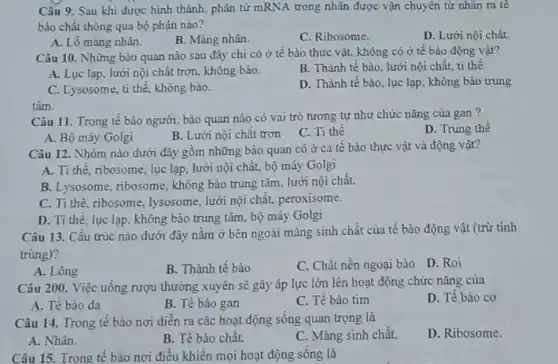 Câu 9. Sau khi được hình thành, phân tử mRNA trong nhân được vận chuyền từ nhân ra tê
bào chất thông qua bộ phận nào?
D. Lưới nội chất.
A. Lỗ màng nhàn.
B. Màng nhân.
C. Ribosome.
Câu 10. Những bào quan nào sau đây chi có ở tế bào thực vật, không có ở tế bào động vật?
A. Lực lạp, lưới nội chất trơn, không bào.
B. Thành tế bào , lưới nội chất, tỉ thể
C. Lysosome, ti thê.không bào.
D. Thành tế bào , lục lạp, không bảo trung
tâm.
Câu 11. Trong tế bào người, bào quan nào có vai trò tương tự như chức nǎng của gan ?
D. Trung thể
A. Bộ máy Golgi
B. Lưới nội chât trơn
C. Ti thể
Câu 12. Nhóm nào dưới đây gồm những bào quan có ở cả tế bào thực vật và động vật?
A. Ti thê, ribosome , lục lạp, lưới nội chất, bộ máy Golgi
B. Lysosome, ribosome, không bào trung tâm, lưới nội chất.
C. Ti thè, ribosom : lysosome, lưới nội chất,peroxisome.
D. Ti thể, lục lạp , không bào trung tâm , bộ máy Golgi
Câu 13. Câu trúc nào dưới đây nǎm ở bên ngoài màng sinh chất của tế bào động vật (trừ tinh
trùng)?
D. Roi
A. Lông
B. Thành tế bào
C. Chất nền ngoại bào
Câu 200. Việc uống rượu thường xuyên sẽ gây áp lực lớn lên hoạt động chức nǎng của
D. Tế bào cơ
A. Tế bào da
B. Tế bào gan
C. Tế bào tim
Câu 14. Trong tê bào nơi diển ra các hoạt động sống quan trọng là
D. Ribosome.
A. Nhân.
B. Tế bào chât.
C. Màng sinh chất.
Câu 15. Trong tê bào nơi điều khiên mọi hoạt động sông là