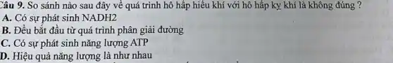 Câu 9. So sánh nào sau đây vê quá trình hô hấp hiếu khí với hô hấp ky khí là không đúng ?
A. Có sự phát sinh NADH2
B. Đều bắt đầu từ quá trình phân giải đường
C. Có sự phát sinh nǎng lượng ATP
D. Hiệu quả nǎng lượng là như nhau