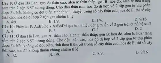 Câu 9: Ở đậu Hà Lan, gen A:thân cao, alen a:thân thâp; gen B: hoa đỏ, alen b: hoa trang
nǎm trên 2 cặp NST tương đồng. Cho đậu thân cao, hoa đỏ dị hợp vê 2 cặp gen tự thụ phân
được F_(1) . Nếu không có đột biến, tính theo lí thuyêt trong số cây thân cao, hoa đỏ F_(1) thì số cây
thân cao, hoa đỏ dị hợp 2 cặp gen chiếm tỉ lệ
D. 9/16
A. 4/9
B. 1/9
C. 1/4
Câu 10: Phép lai P: AaBbDd x AaBbDd tạo bao nhiêu dòng thuần về 2 gen trội ở thế hệ sau?
D. 2
A. 4
B.3
C. 1
Câu 11: Ở đậu Hà Lan, gen A thân cao, alen a:thân thâp; gen B: hoa đỏ, alen b: hoa trǎng
nǎm trên 2 cặp NST tương đồng. Cho đậu thân cao, hoa đỏ dị hợp vê 2 cặp gen tự thụ phân
được F_(1) . Nếu không có đột biến, tính theo lí thuyết trong số cây thân cao, hoa đỏ
F_(1) thì sô cây
thân cao, hoa đỏ không thuân chủng chiêm tỉ lệ
D. 9/16
A. 1/2
B. 1/9
C. 8/9