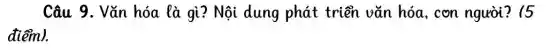 Câu 9. Vǎn hóa là gì? Nội dung phát triển vǎn hóa, con người?15
điểm).