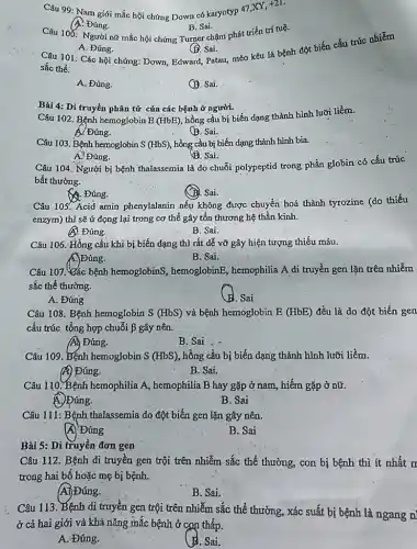 Câu 99: Nam giới mắc hội chứng Down có karyotyp 47,XY, +21.
A. Đúng.
A. Đúng.
(B. Sai.
Câu-101. Các hội chứng:Down, Edward, Patau, mèo kêu là bệnh đột biến cấu trúc nhiễm
sắc thể.
A. Đúng.
(B. Sai.
Câu 100: Người nữ mắc hội chứng Turner chậm phát triển trí tuệ.
B. Sai.
Câu 102. Bệnh hemoglobin E (HbE), hồng cầu bị biến dạng thành hình lưỡi liềm.
A/ Đúng.
(B. Sai.
Bài 4: Di truyền phân tử của các bệnh ở người.
Câu 103. Bệnh hèmoglobin S (HbS), hồng cầu bị biến dạng thành hình bia.
B. Sai.
A. Đúng.
Câu 104. Người bị bệnh thalassemia là do chuỗi polypeptid trong phần globin có cấu trúc
bất thường.
A. Đúng.
(D). Sai.
Câu 105. Acid amin phenylalanin nếu không được chuyển hoá thành tyrozine (do thiếu
enzym) thì sẽ ứ đọng lại trong cơ thể gây tổn thương hệ thần kinh.
A. Đúng.
B. Sai.
Câu 106. Hồng cầu khi bị biến dạng thì rất dễ vỡ gây hiện tượng thiếu máu.
A.)Đúng.
B. Sai.
Câu 107. Các bệnh hemoglobinS, hemoglobinB,hemophilia A di truyền gen lặn trên nhiễm
sắc thể thường.
A. Đúng
B. Sai
Câu 108. Bệnh hemoglobin S (HbS) và bệnh hemoglobin E (HbE) đều là do đột biến gen
cấu trúc tổng hợp chuỗi P gây nên.
B. Sai
Câu 109. Eệnh hemoglobin S (HbS), hồng cầu bị biến dạng thành hình lưỡi liềm.
A) Đúng.
B. Sai.
Câu 110. Bệnh hemophilia A, hemophilia B hay gặp ở nam, hiếm gặp ở nữ.
A. Đúng.
B. Sai
Câu 111: Bệnh thalassemia do đột biến gen lặn gây nên.
A Đúng
B. Sai
Bài 5: Di truyền đơn gen
Câu H2. Bệnh di truyền gen trội trên nhiễm sắc thể thường , con bị bệnh thì ít nhất n
trong hai bố hoặc mẹ bị bệnh.
(A) Đúng.
B. Sai.
Câu 113. Bệnh di truyền gen trội trên nhiễm sắc thể thường , xác suất bị bệnh là ngang n
ở cả hai giới và khả nǎng mắc bệnh ở con thấp.
A. Đúng.
B. Sai.