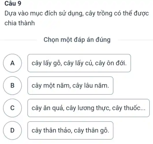 Câu 9
A
Dựa vào mục đích sử dụng, cây trồng có thể được
chia thành
Chọn một đáp án đúng
A cây lấy gỗ, cây lấy củ, cây ôn đới.
B cây một nǎm, cây lâu nǎm.
C cây ǎn quả, cây lương thực, cây thuốc __ C
D cây thân thảo, cây thân gỗ.