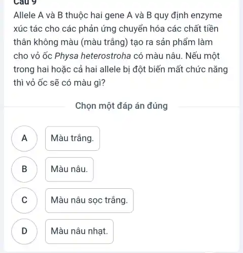 Câu 9
Allele A và B thuộc hai gene A và B quy định enzyme
xúc tác cho các phản ứng chuyển hóa các chất tiền
thân không màu (màu trắng) tạo ra sản phẩm làm
cho vỏ ốc Physa heterostroha có màu nâu. Nếu một
trong hai hoặc cả hai allele bị đột biến mất chức nǎng
thì vỏ ốc sẽ có màu gì?
Chọn một đáp án đúng
A	Màu trắng.
B Màu nâu.
B
C v
Màu nâu sọc trắng.
D
Màu nâu nhạt.