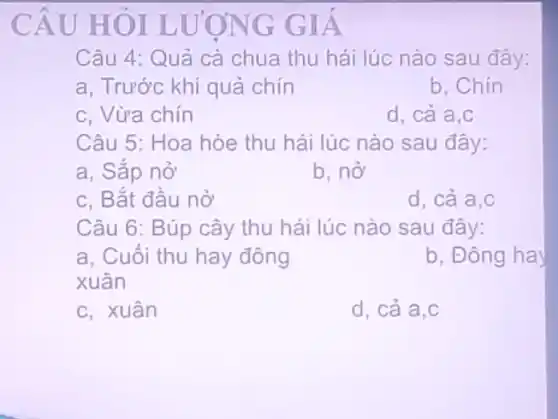 CÂU H OILU 'ONG GIA
Câu 4: Quả cà chua thu hái lúc nào sau đây:
a, Trước khi quả chín
b. Chín
c, Vừa chín
d, cả a,c
Câu 5: Hoa hòe thu hái lúc nào sau đây:
a, Sǎp nở
b, nở
c, Bắt đâu nở
d, cả a,c
Câu 6: Búp cây thu hái lúc nào sau đây:
a, Cuối thu hay đông
xuân
b, Đông hai
c, xuân
d, cả a,c