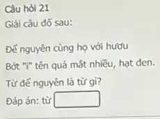 Câu hỏi 21
Giải câu đỡ sau:
Để nguyên cùng họ với hươu
Bớt "T" tên quả mắt nhiều, hạt đen.
Từ để nguyên là từ gì?
Đáp án: từ square