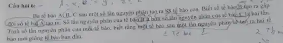 Câu hỏi 6: =
Ba tế bào A(B.C sau một số lần nguyên phân con. Biết số tế bào
B
(đôi số tế bài A.tạo ra. Số lần nguyên phân của tế phân của tế bào C là hai lân.
Tinh số lần nguyên phân của mỗi tế bào, biết rằng nguyên phây<s**Hó ra
bào mới giống tê bào ban đầu.