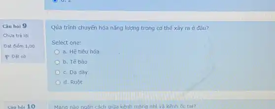 Câu hỏi 9
Chưa trả lời
Đạt điếm 1,00
P Đǎt cờ
Qúa trình chuyến hóa nǎng lượng trong cơ thế xảy ra ở đâu?
Select one:
a. Hê tiêu hóa
b. Tế bào
c. Da dày
d. Ruột
Màng nào ngǎn cách giữa kênh màng nhi và kênh ốc tai?